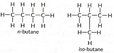 Class 10 Science Chapter 4 Previous Year Questions - Carbon and its compounds