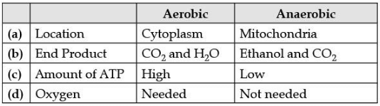 Class 10 Science: CBSE Sample Question Paper (2020-21) - 3 | Science Class 10