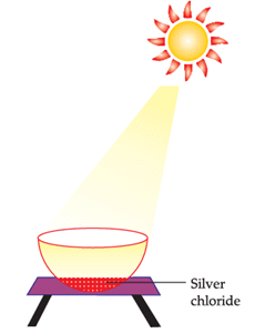 Class 10 Science Chapter 1 Case Based Questions - Chemical Reactions and Equations