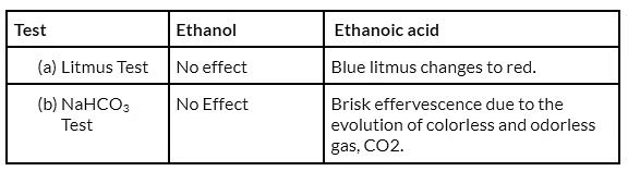 Class 10 Science Chapter 4 Previous Year Questions - Carbon and its compounds