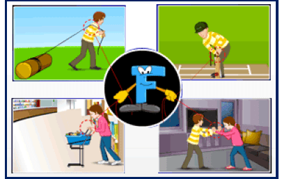 CBSE, NCERT, Study Notes, Science, Class 8