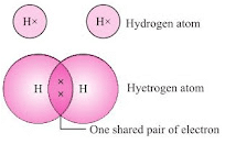 Olympiad Notes: Carbon and Its Compounds | Olympiad Preparation for Class 10