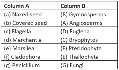 NCERT Exemplar: Diversity in Living Organisms - Class 9