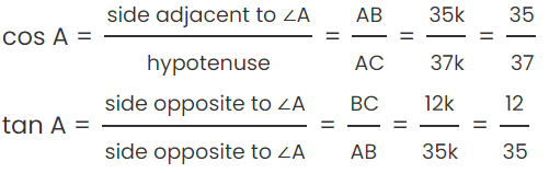 Some Application of Trigonometry Class 10 Worksheet Maths
