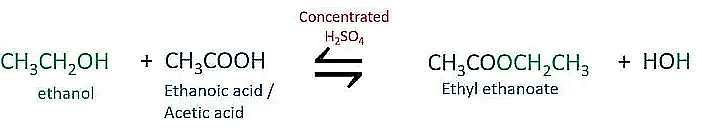 Class 10 Science Chapter 4 Previous Year Questions - Carbon and its compounds