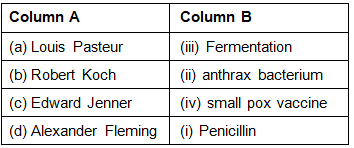 NCERT Exemplar Solutions: Microorganisms : Friend or Foe | Science Class 8