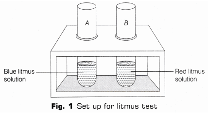Lab Manual: Properties of Acids & Bases - Class 10