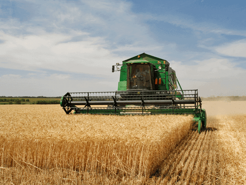 Crop Production and Management Class 8 Notes Science Chapter 1