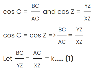 Some Application of Trigonometry Class 10 Worksheet Maths