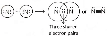 Class 10 Science Chapter 4 Previous Year Questions - Carbon and its compounds