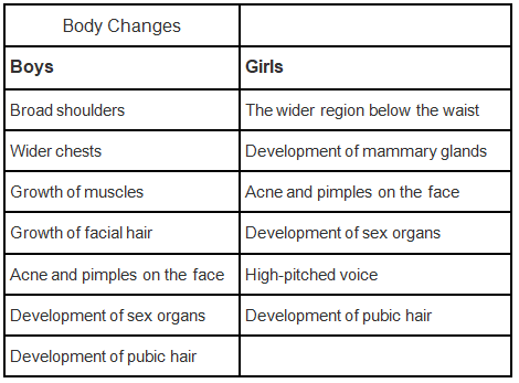 NCERT Exemplar Solutions: Reaching the Age of Adolescence | Science Class 8