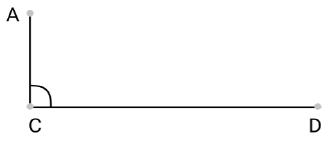 Class 9 Maths Chapter 5 Question Answers - Introduction To Euclid’s Geometry