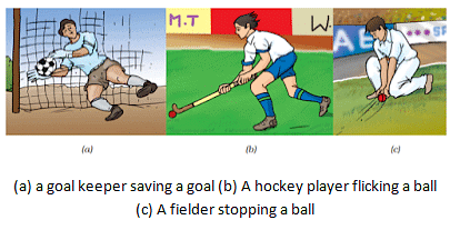 Force & Pressure Summary Class 8 NCERT Summary