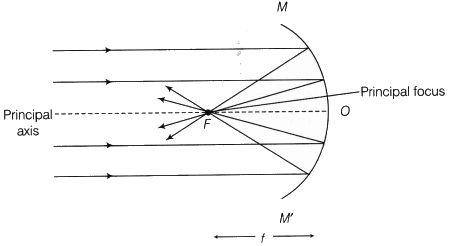 Fig. 2 Incident parallel rays of light are parallel to principal axis