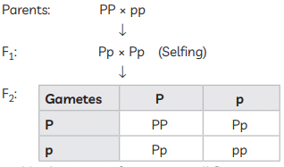 Class 10 Science Chapter 8 Previous Year Questions - Heredity and Evolution