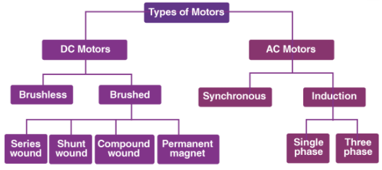 Electric Motor & Electric Generator | Physics for Grade 10