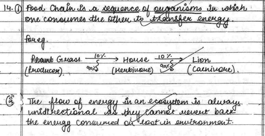 Science Topper`s Answer Sheet - 2019, Class 10