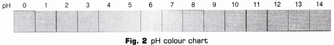 Lab Manual: pH of Samples - Class 10