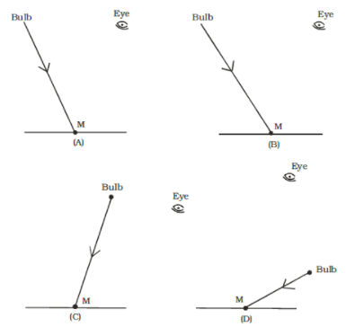 NCERT Exemplar Solutions: Light | Science Class 8