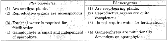 Class 9 Science: Sample Question Paper- 11 (With Solutions)