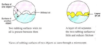 Sample Paper 1 with Solution - Term- 1 Science, Class 8 | Science Class 8