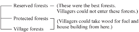 Key Concepts - Forest Society & Colonialism | Social Studies (SST) Class 9