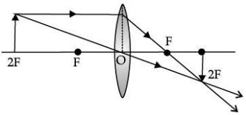 Class 10 Science: CBSE Sample Question Paper (2020-21) - 4 | Science Class 10