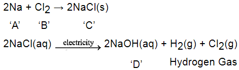 NCERT Exemplar: Metals & Non-metals | Science Class 10