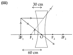 Class 10 Science: CBSE Sample Question Paper (2019-20) - 10 | Science Class 10