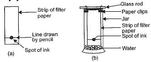 NCERT Exemplar (Part 2): Is Matter Around Us Pure | Science Class 9