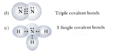 NCERT Exemplar: Periodic Classification of Elements | Physical Science for High School - Grade 9