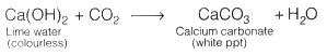 Lab Manual: Types of Reactions - Class 10
