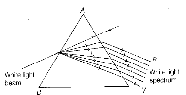 Class 10 Science: CBSE Sample Question Paper (2019-20) - 6 | Science Class 10