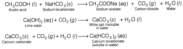 Lab Manual: Properties of Acetic Acid - Class 10