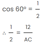 Some Application of Trigonometry Class 10 Worksheet Maths