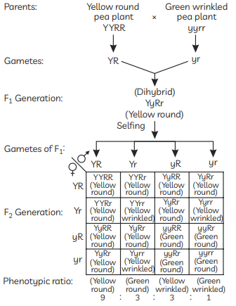 Previous Year Questions 2023