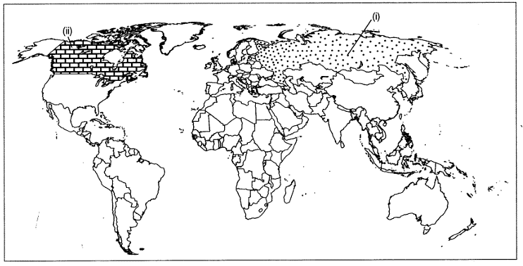 Map Based Questions: Socialism in Europe and the Russian Revolution | Social Studies (SST) Class 9