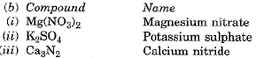 Class 9 Science - Atoms and Molecules Previous Year Questions
