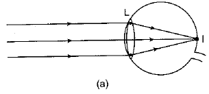 Class 10 Science: CBSE Sample Question Paper (2019-20) - 4 | Science Class 10