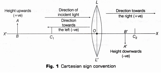 Lab Manual: Image Formation by a Convex Lens - Class 10