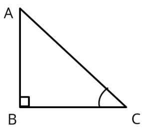 Some Application of Trigonometry Class 10 Worksheet Maths