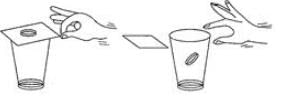 Class 9 Science: Sample Question Paper Term I- 11 (With Solutions)