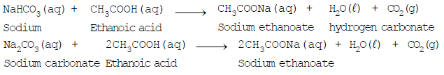 Some Important Carbon Compounds – Ethanol And Ethanoic Acid | Science Class 10