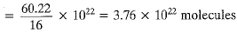 Class 9 Science - Atoms and Molecules Previous Year Questions