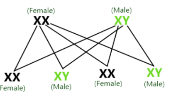 Olympiad Notes: Heredity and Evolution | Olympiad Preparation for Class 10
