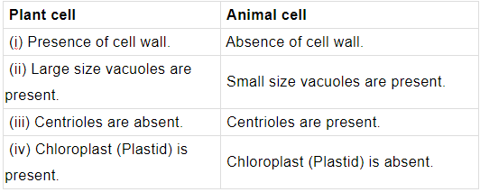 Class 8 Science: Sample Question Paper - 9 | Science Class 8