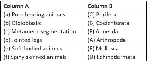NCERT Exemplar: Diversity in Living Organisms - Class 9