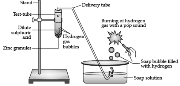 Acids, Bases and Salts - 3 Class 10 Worksheet Science Chapter 2