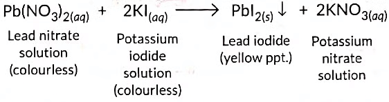 Previous Year Questions 2023