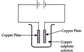 Class 8 Science: Sample Question Paper - 8 | Science Class 8